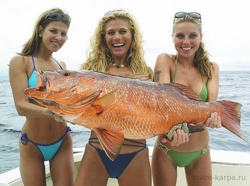 0004 девушки ловят рыбу