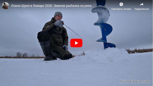видео зимняя рыбалка в январе